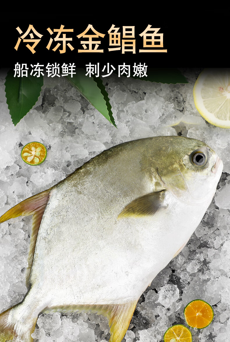 海行尊国产冷冻金鲳鱼500450g1条装大鲳鱼平鱼扁鱼金昌鱼袋装