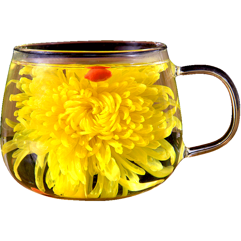 菊花茶金丝皇菊黄菊一朵一杯花茶特大朵菊花胎菊贡菊茶叶盒 100朵杯子