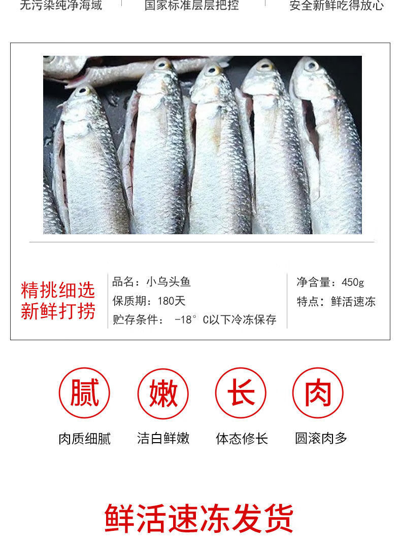 湛江海鲜特产小网捕捞小乌头鱼尖头碰头鱼口感鲜嫩3斤