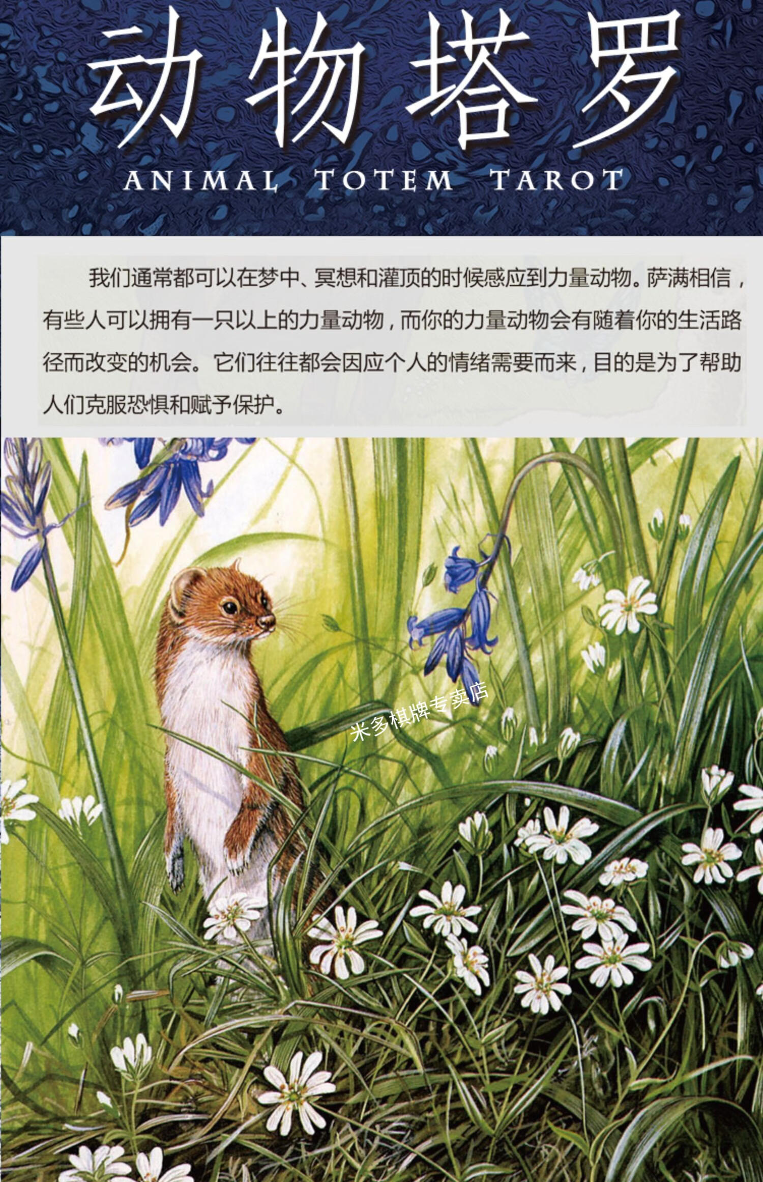 塔罗牌全套牌动物塔罗animaltotemtarot桌游动物塔罗套装猫魅塔罗套装