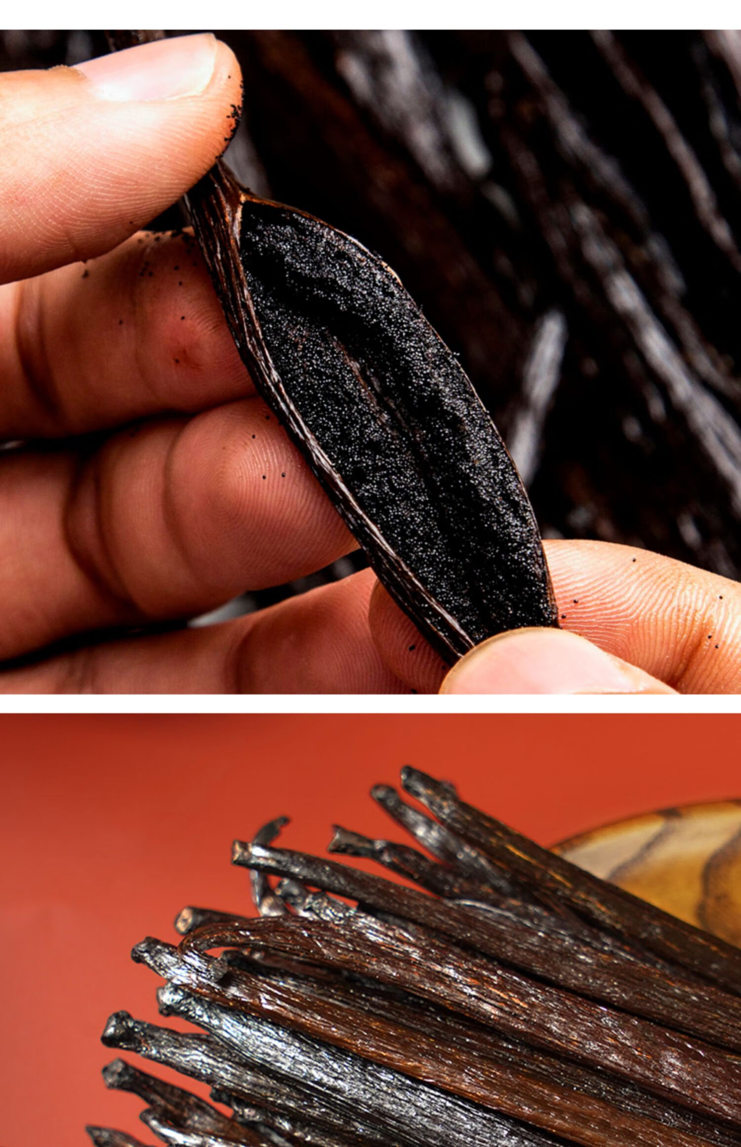 香草荚烘焙马达加斯加含籽香草夹香荚大溪地香荚兰 17