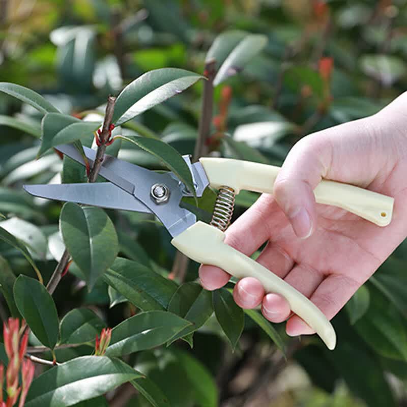 不锈钢修枝剪 园林园艺修剪工具 果树园林 剪刀 艺剪 花园树枝剪 直头