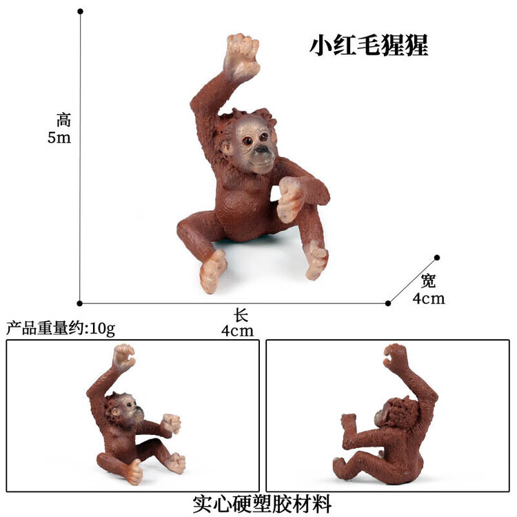 M4072小红毛猩猩
