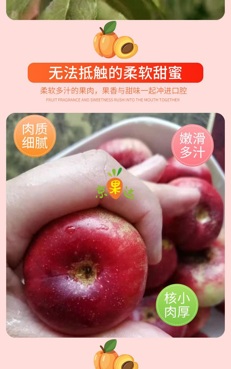 纽扣蟠桃新鲜水果扁桃金钱小油蟠桃孕妇桃子2斤装