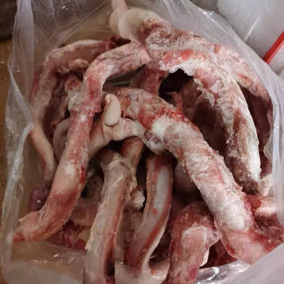 伟博生鲜冷冻牛鞭 纯牛鞭 粗牛鞭 十斤装无冰 烧烤食材 多省 其他地区