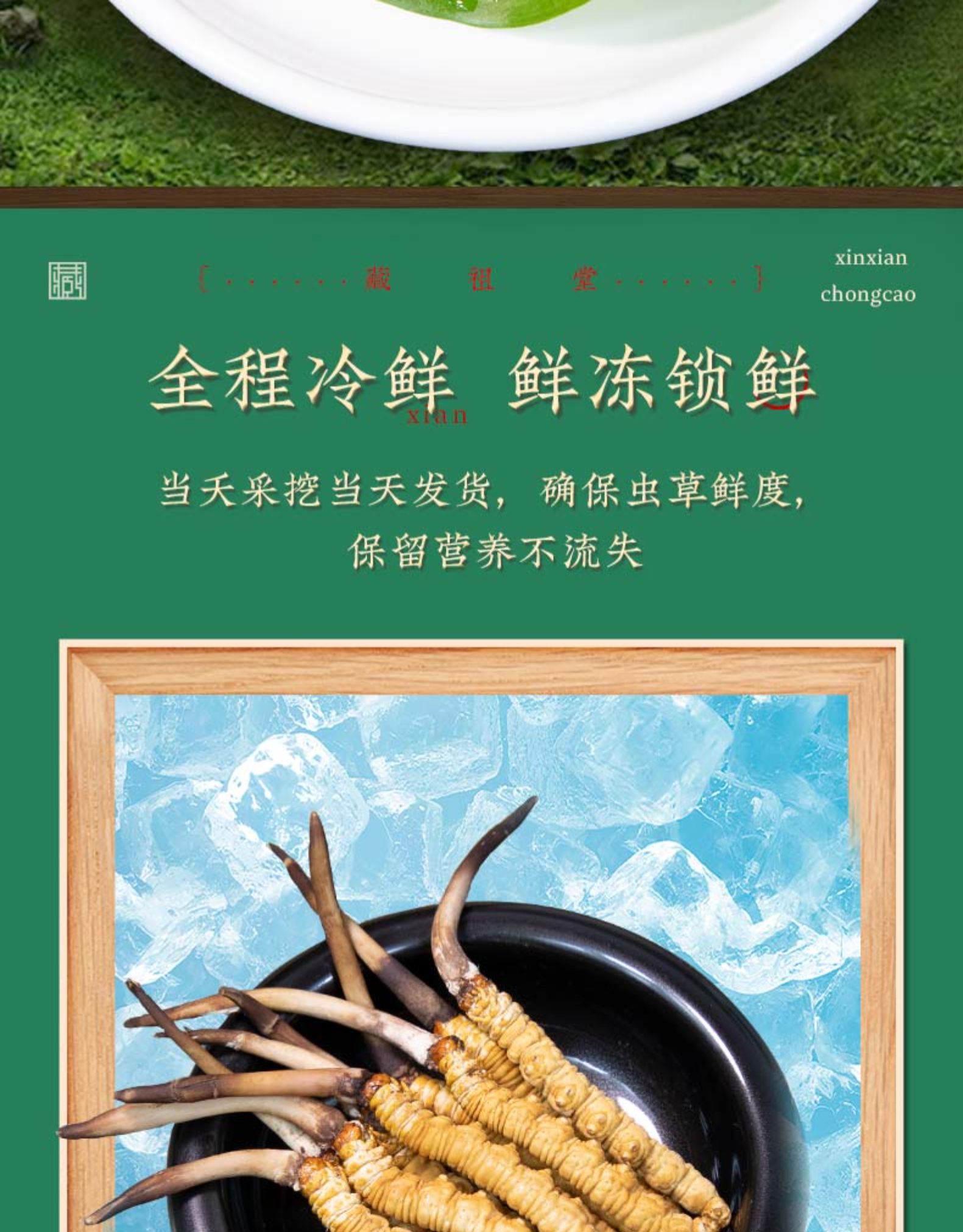 西藏那曲新鲜冬虫夏草官方旗舰店鲜虫草30根头期冬虫草礼盒装 0.