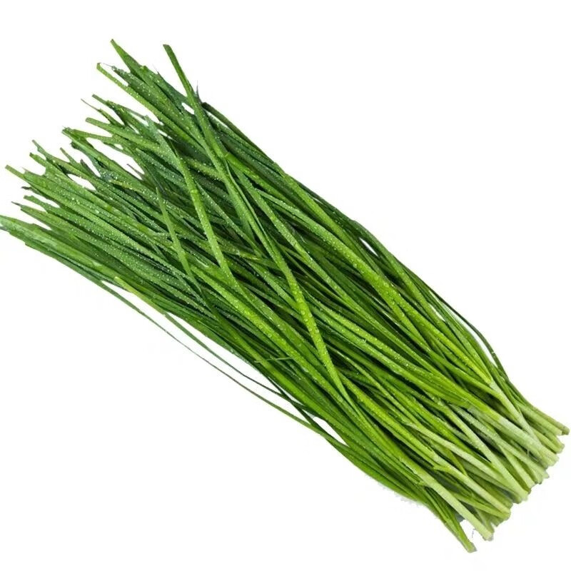 轻恋 韭菜新鲜蔬菜山东农家现割现发嫩韭菜2/8斤上架 净重4斤精选
