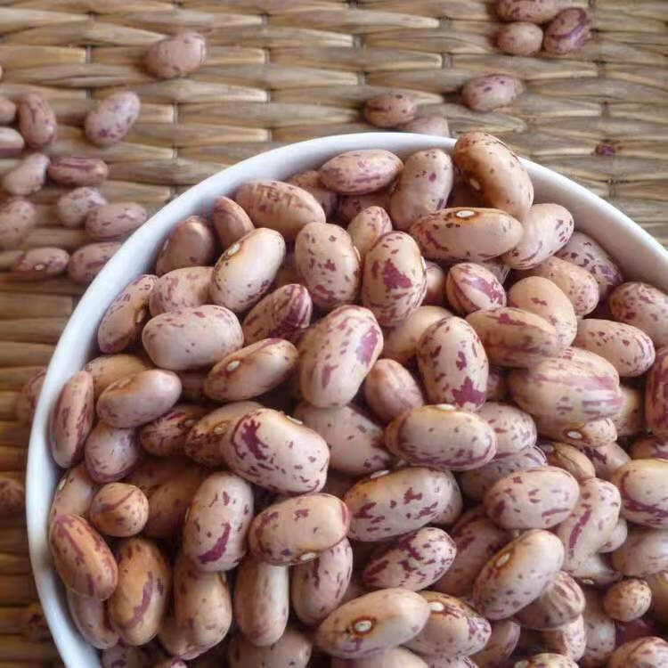 东北白花饭豆农家特色奶花芸豆新豆豆馅粥豆焖饭豆食用豆2斤