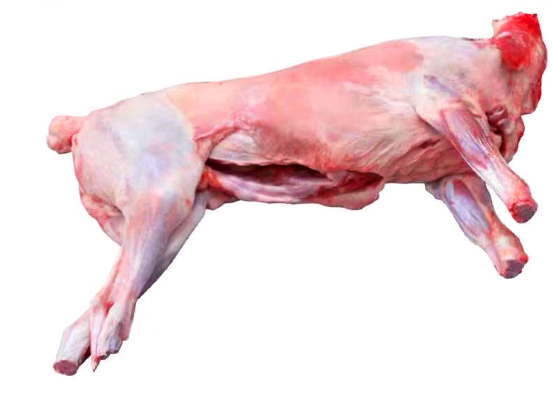 现宰新鲜宁夏半羊烤全羊整只1540斤整羊批发去皮羊羔肉赠礼推荐滩羊