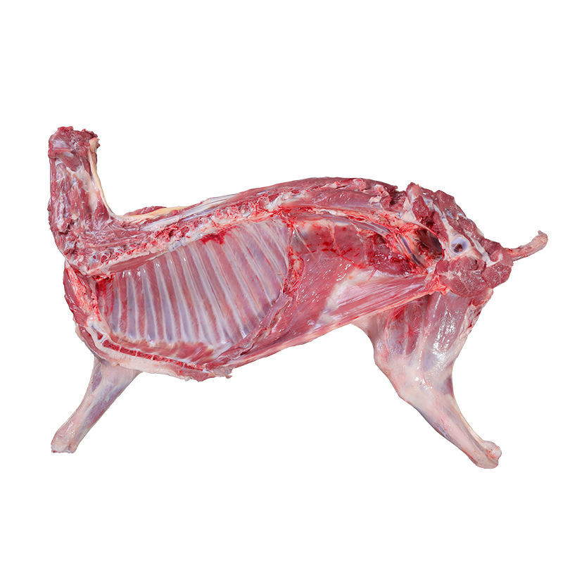 羊肉生羊排羊腿羊蝎子烧烤3斤山东羊肉广纳力驰 15斤整发半只羊【图片