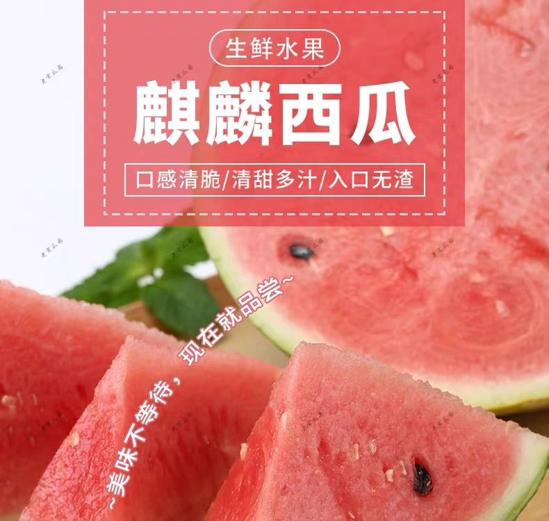 正宗8424西瓜现摘现发薄皮麒麟瓜西瓜新鲜当季水果批发人工精选8424