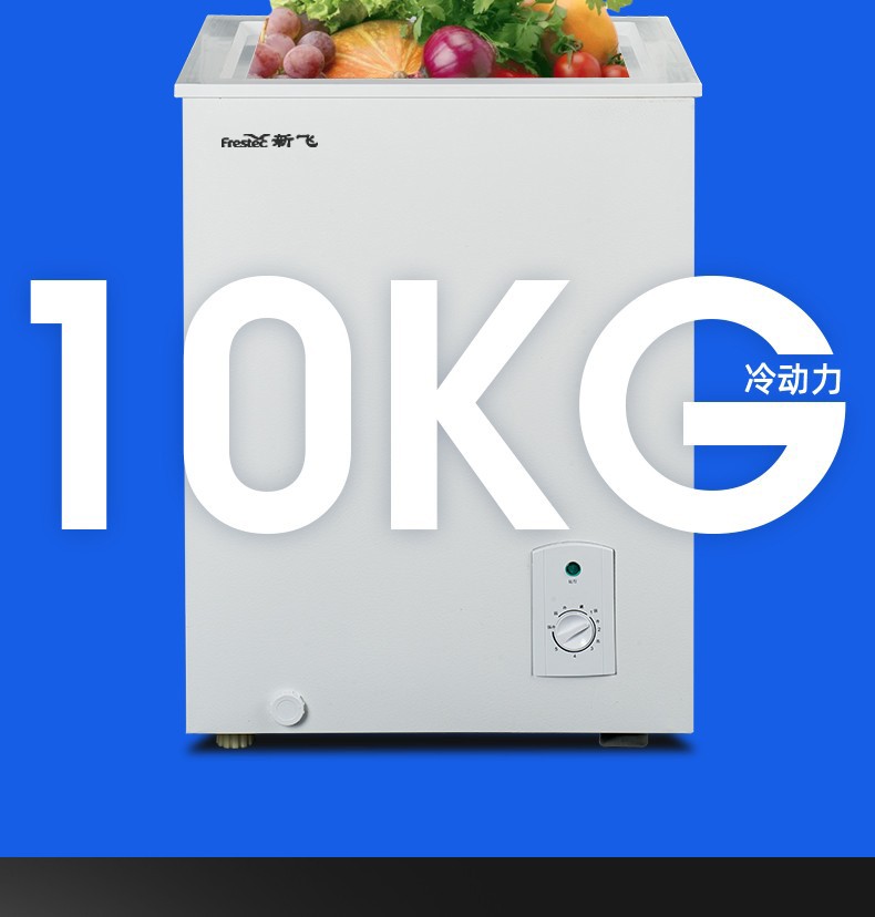 新飞frestec小冰柜家用小型冷冻保鲜迷你冷藏商用冷柜单用母乳冰箱