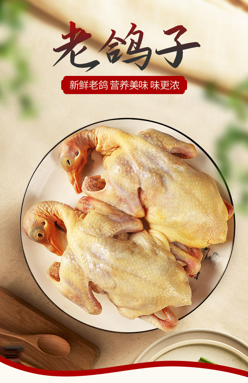 三年老鸽子新鲜乳鸽沂蒙山土鸽子农家杂粮乳鸽新鲜现杀