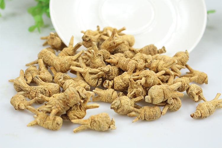 觅阳参雄茬觅阳参觅阳参大颗官方吉林长白山觅阳叁防伪 50克切片