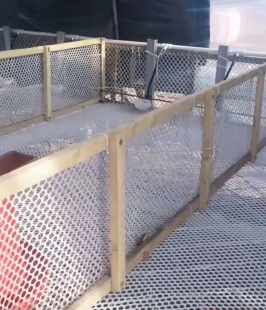 养殖网育雏小鸡鸭养鹅鸡笼脚垫漏粪床围栏防逃防坠网养蜂网25孔15米宽