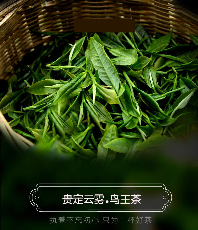 2021新茶贵州日照绿茶贵定云雾贡茶鸟王茶农家炒青绿茶250g 1000g