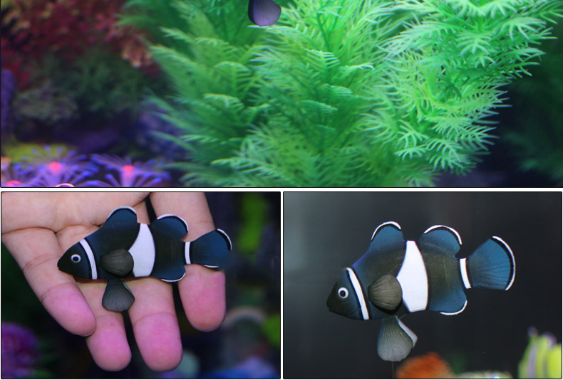 荣郁鱼缸造景装饰仿真鱼假鱼硅胶金鱼装饰品观赏鱼仿真金鱼带吸盘仿真