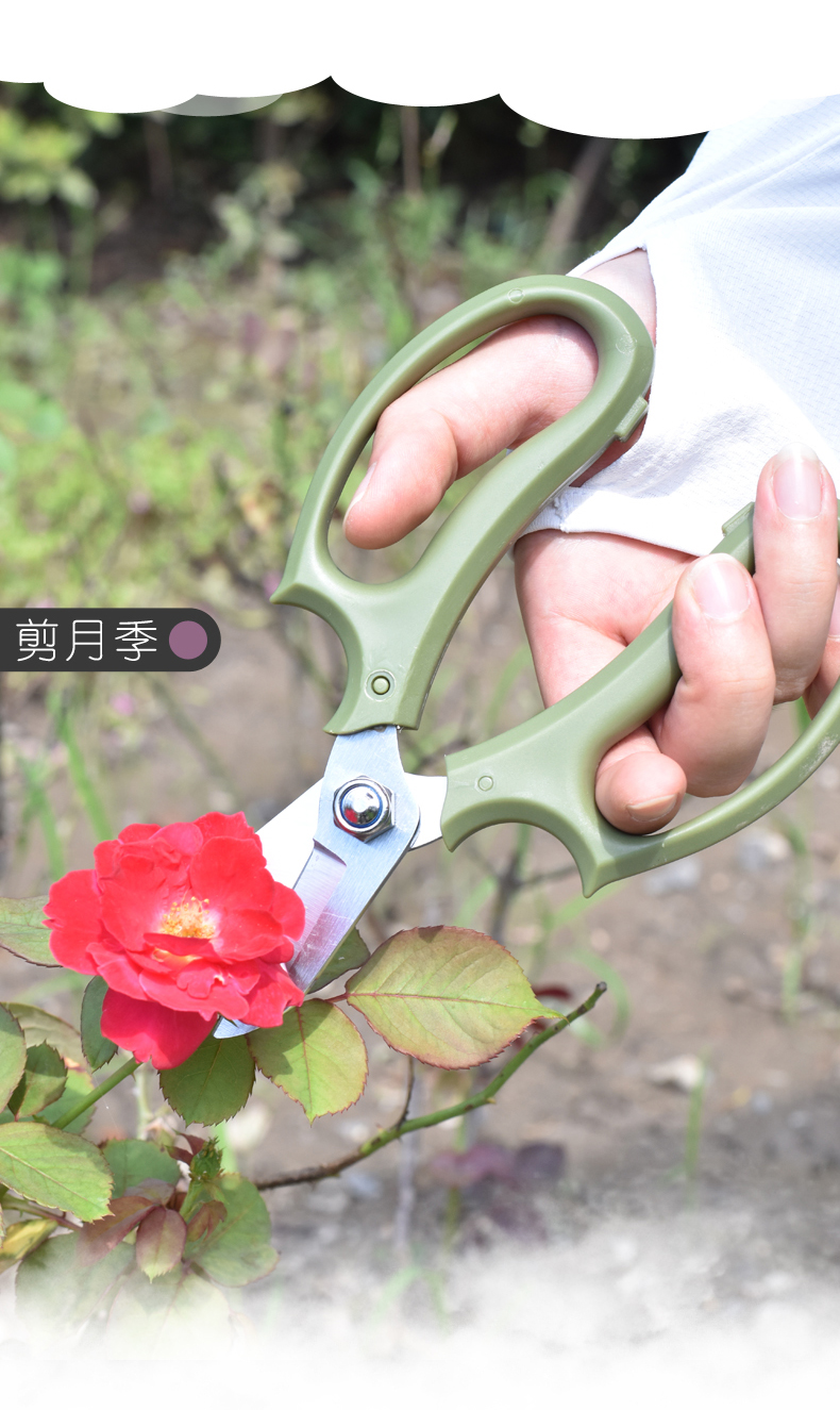 yuanyiba网红款花艺师专用剪刀修花鲜花店花剪插花修枝剪园艺工具家用