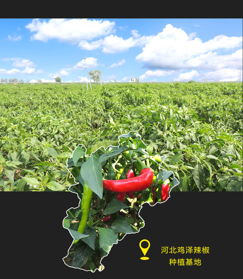 河北邯郸鸡泽特产八宝珍牛肉芝麻油辣椒 3八宝 3芝麻 组合装【图片