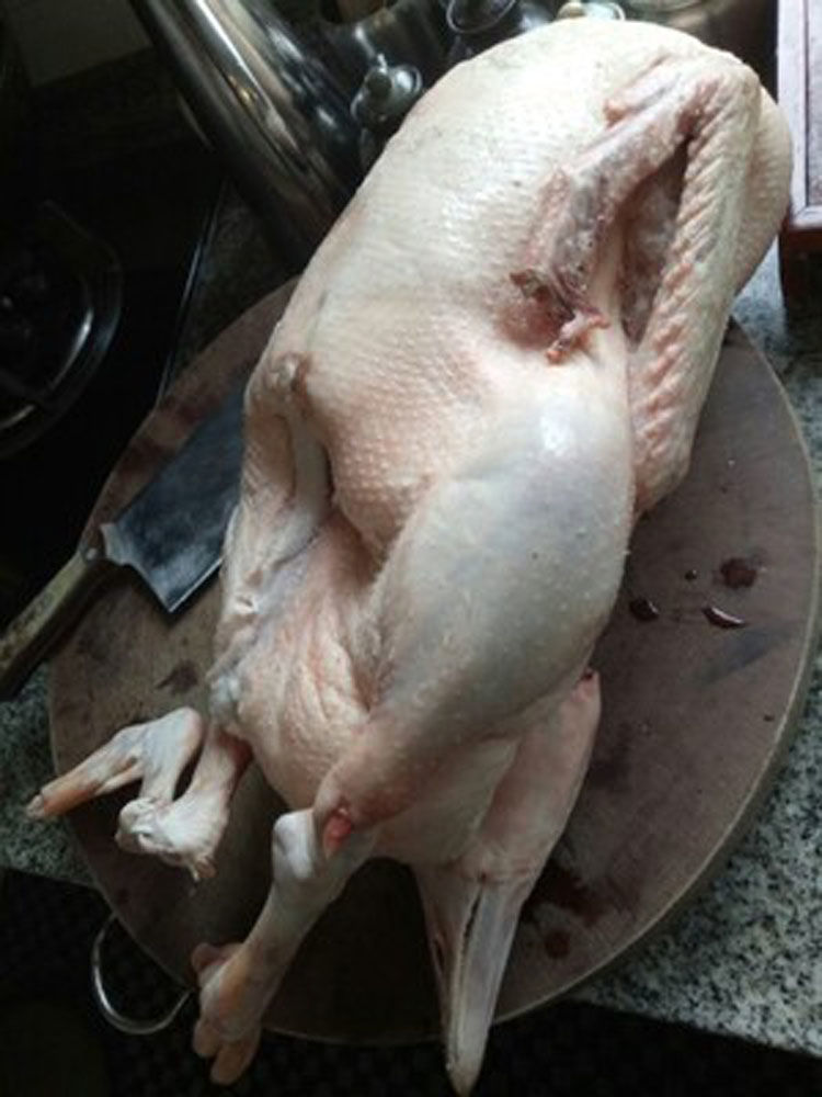 大鹅肉整只散养农村笨鹅大白鹅现杀冷冻鹅肉新鲜大鹅6斤到6斤半