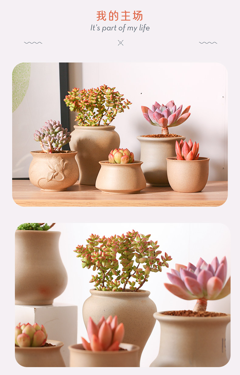 云南直发mumuhome多肉素烧花盆简约创意多肉植物盆器多肉植物花盆素烧