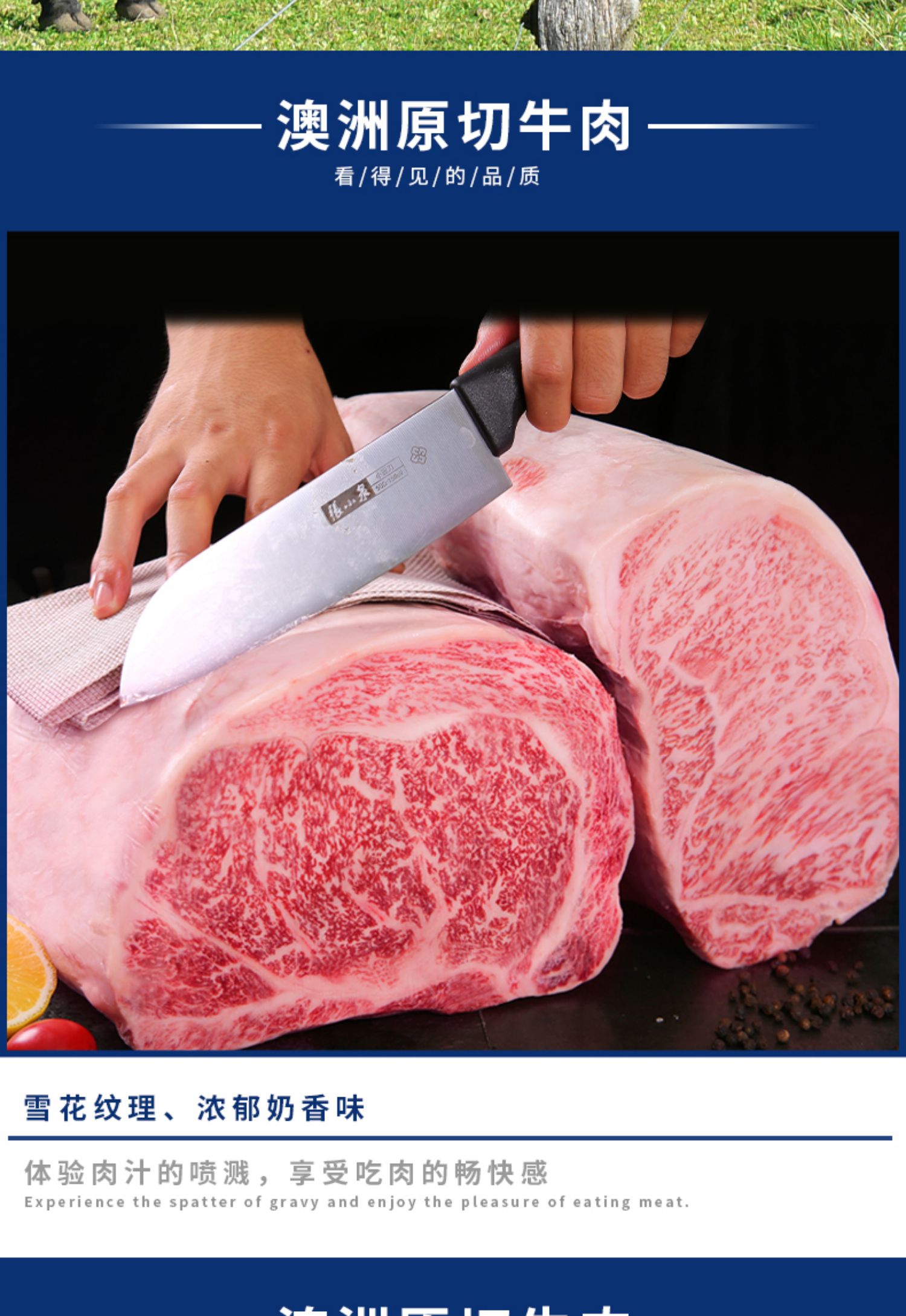 【顺丰速运】澳洲m12和牛西冷牛排 牛排原切 媲美日本神户a5雪花牛肉