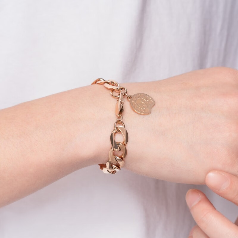 品牌官方rastaclat小狮子金属系列潮流手链项链男女生情侣款新年礼物