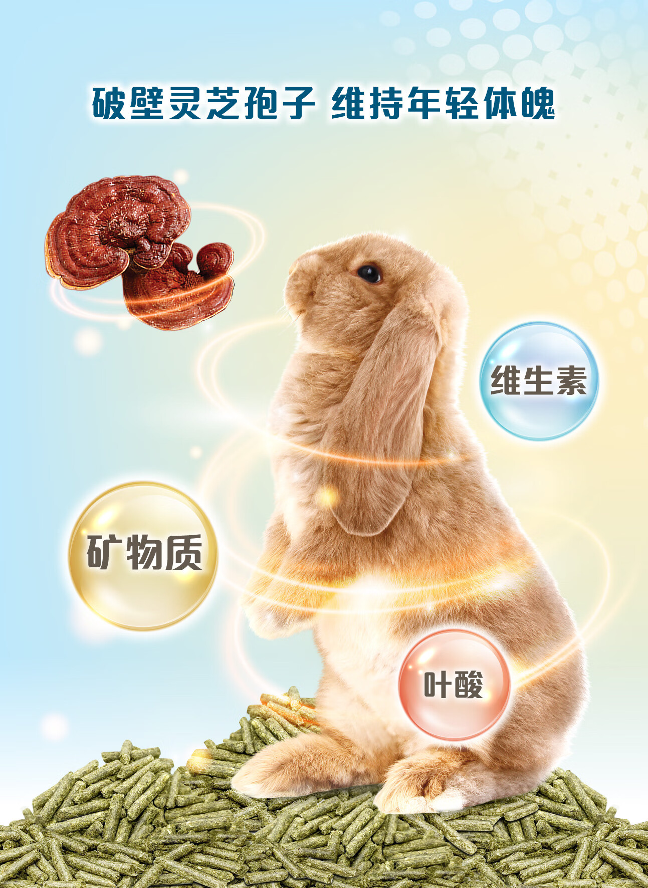 drbunny兔博士老年兔粮25kg延缓衰老兔子粮食老年宠物兔饲料5斤dr358