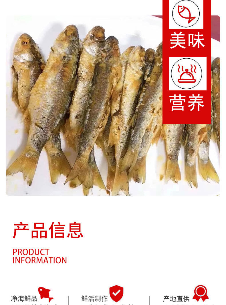 湛江海鲜特产小网捕捞小乌头鱼尖头碰头鱼口感鲜嫩3斤