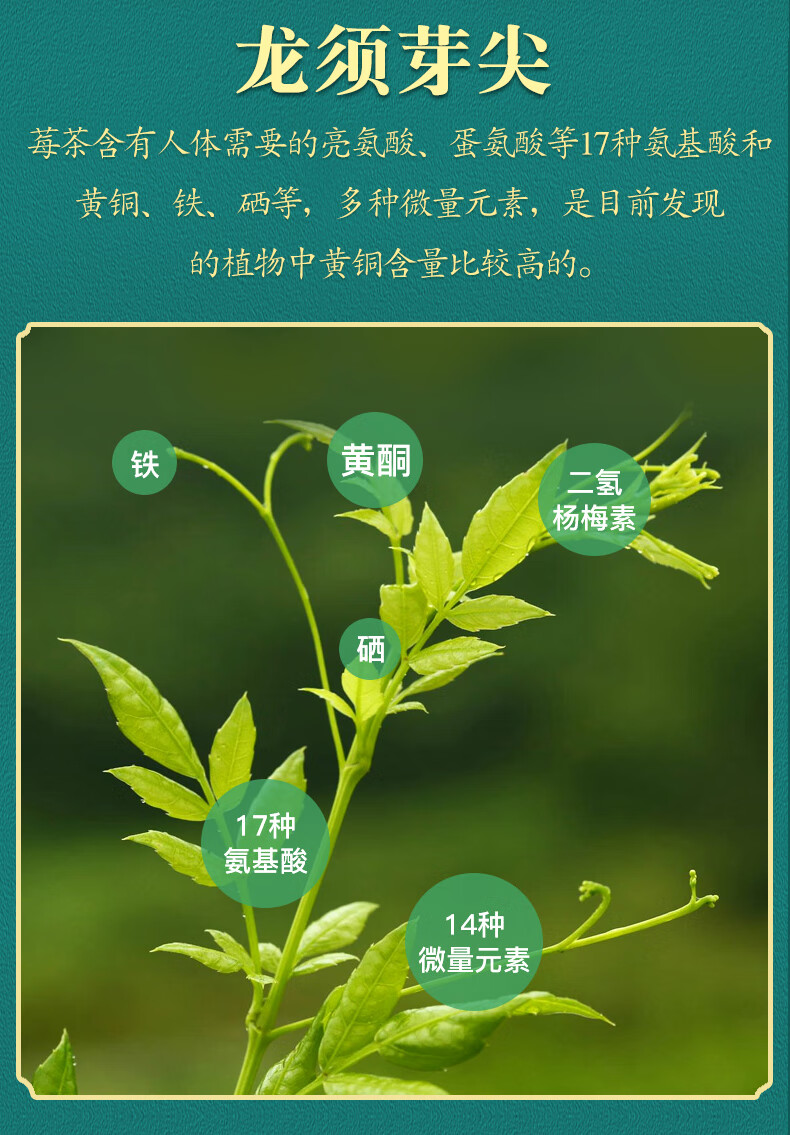 莓茶张家界旗舰店芽尖湘永顺龙须青安霉茶非野生茅岩恩施藤茶买1发5罐