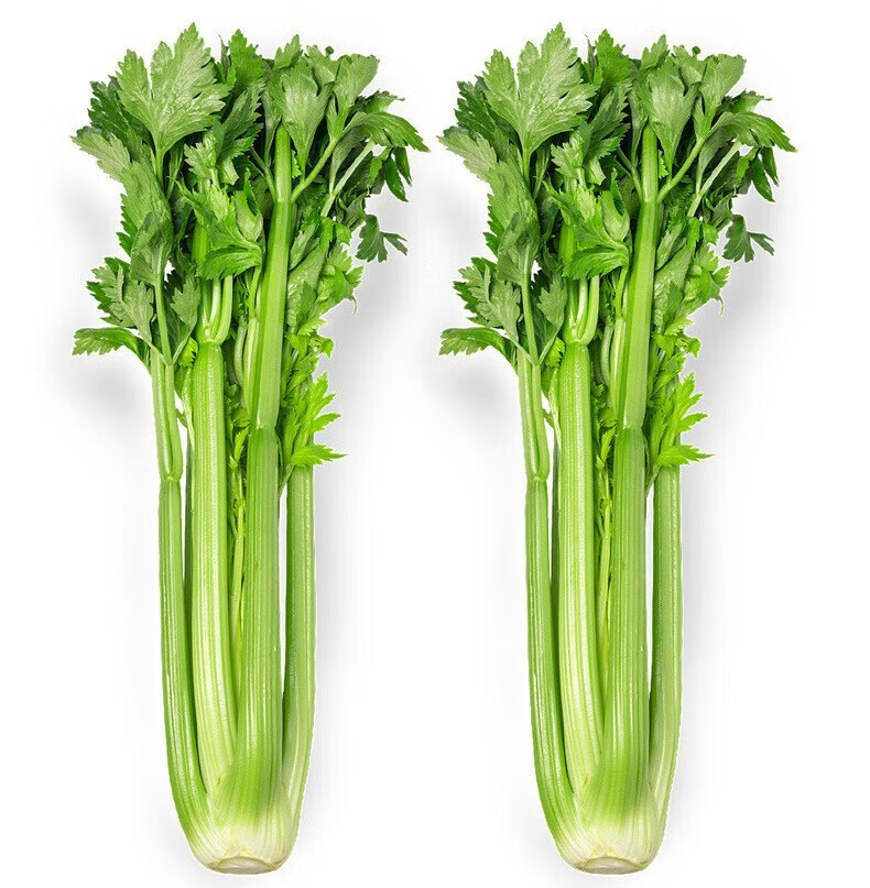 【京鲜达】新鲜西芹大棵半叶芹菜榨汁食用青菜香芹时令蔬菜 1.
