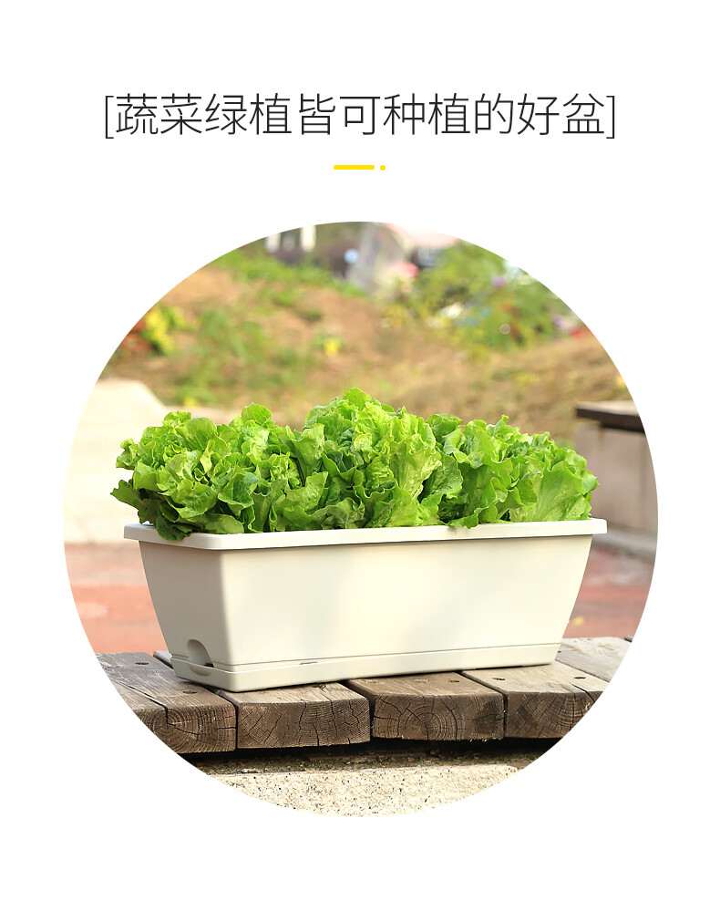 种菜家庭阳台长方形花盆长条形蔬菜种菜盆加厚花槽hly31加厚灰白长条