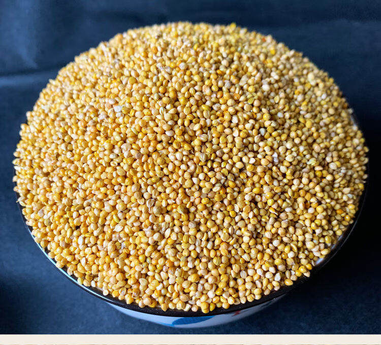 稻谷 谷子黄谷子带壳小米谷子粟谷 中小型鹦鹉鸟粮鸟食饲料 补钙粮