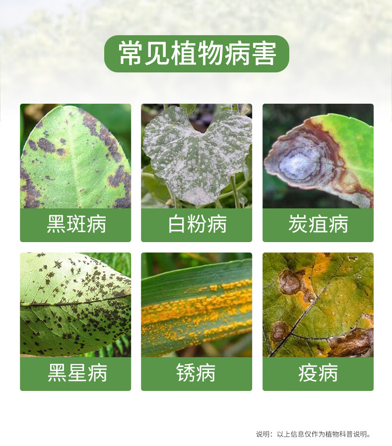 好青闲苯甲吡唑醚菌酯胶囊月季多肉兰花白粉病黑斑病农药50g