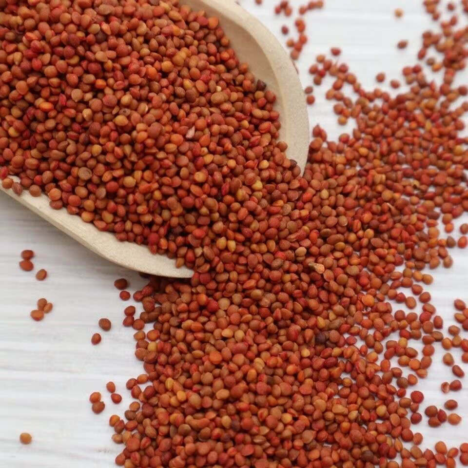 楮实子 中药材店铺500g楮实米 楮实籽中草药大全磨粉【图片 价格 品牌