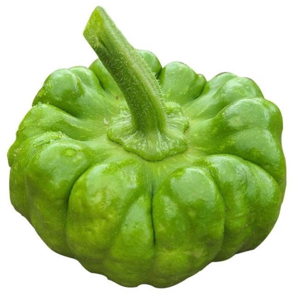 云南姜柄瓜新鲜小麦瓜面瓜小南瓜嫩南瓜小瓜新鲜蔬菜农家自种蔬菜 2斤