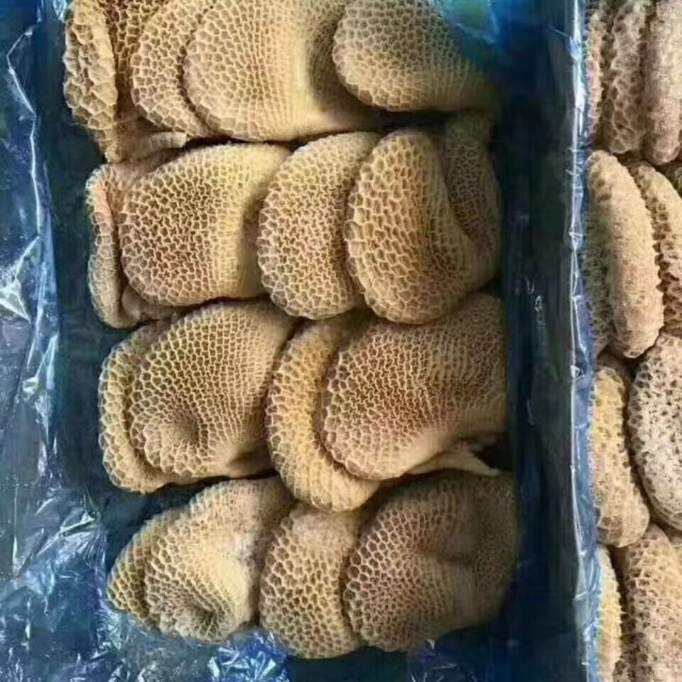 新鲜冷冻 牛肚 牛蜂窝肚 牛金钱肚 不水发无任何添加调理顺丰 2斤真空