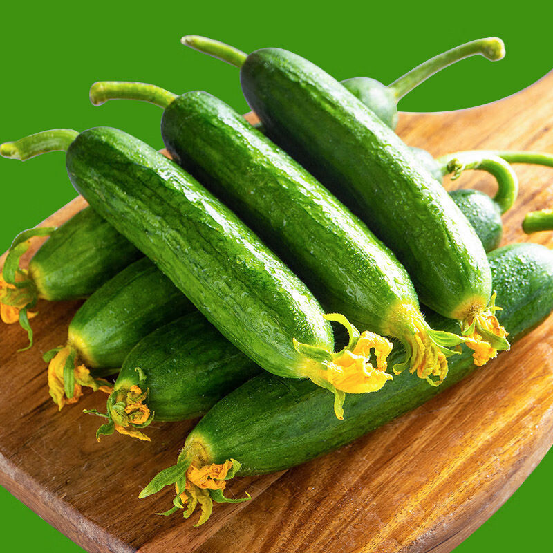 适用于水果小黄瓜 无刺小黄瓜健康轻食 新鲜寿光蔬菜 5斤 小黄瓜5斤装