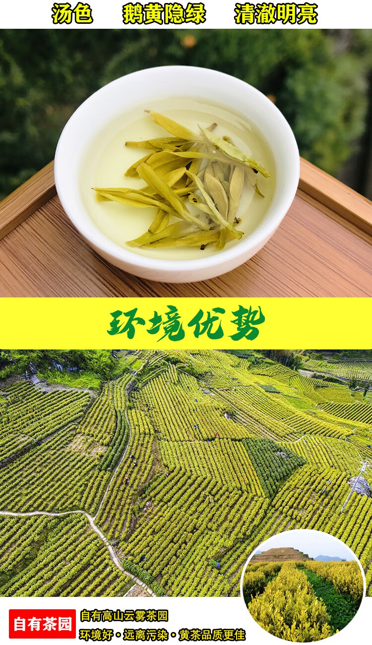 缙云黄茶价格表图片