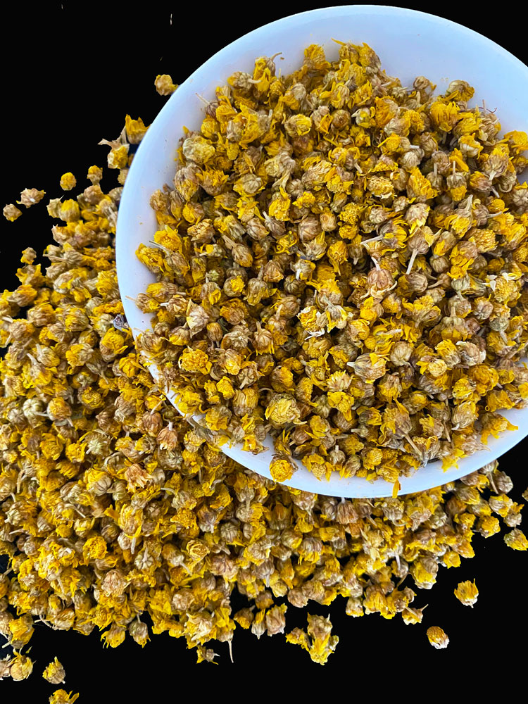 60啡晨正宗野菊花500g中药材天然特级胎菊苦小干米野菊散装sn0624