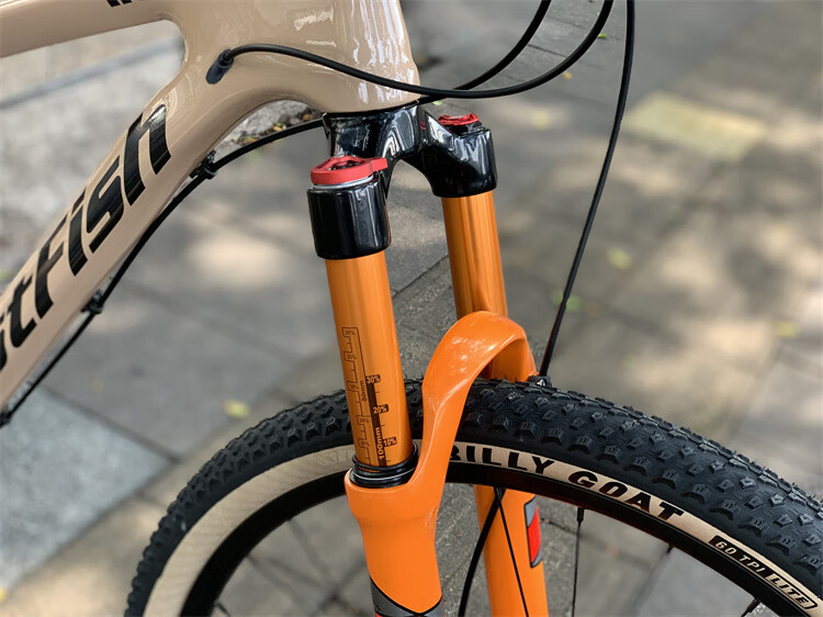 5寸fastfish碳纤维12速爬坡版山地车气叉油刹轻量自行车 蓝图12速140