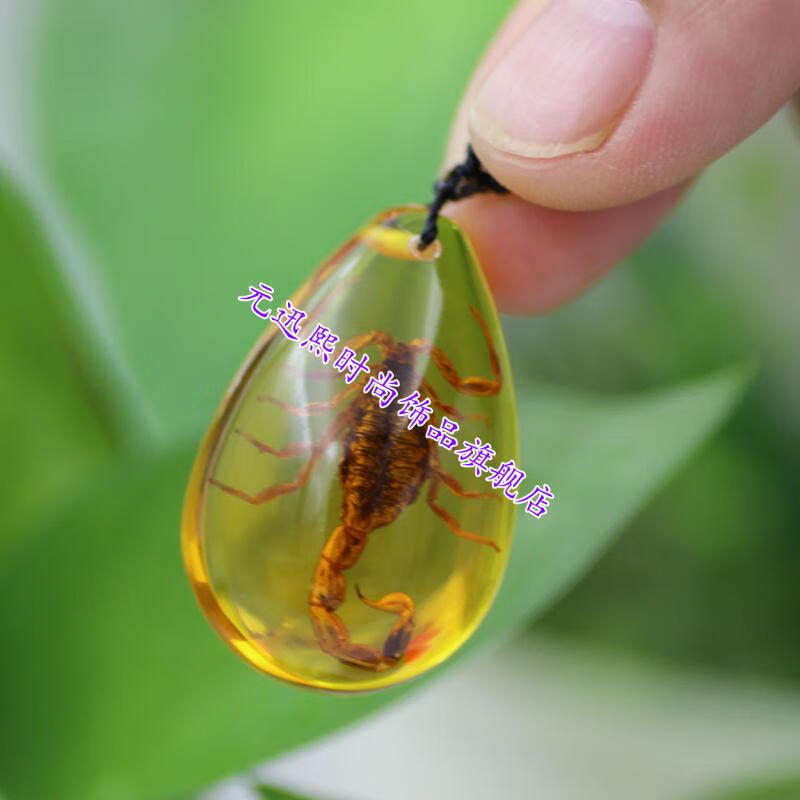 蝎子人工琥珀项链真昆虫标本吊坠创意装饰品生日节日礼物琥珀王吊坠