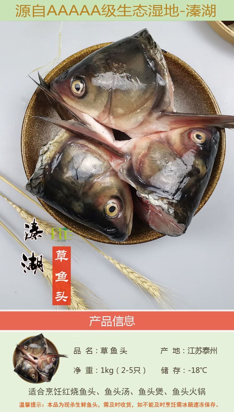 鲸洋现杀草鱼鲢鱼头溱湖新鲜淡水鱼现捕净膛去鳃鱼头汤食材批发 草