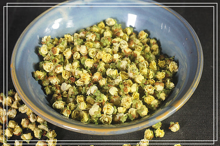 绿萼梅花茶手选干梅花苞泡水绿梅花白梅花茶中药50克【图片 价格 品牌