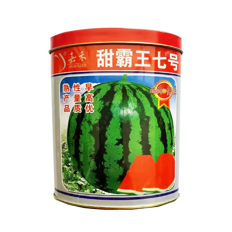 沙漠王子西瓜种子种籽无籽甜王早佳8424西瓜黄心西瓜水果蔬菜四季高产