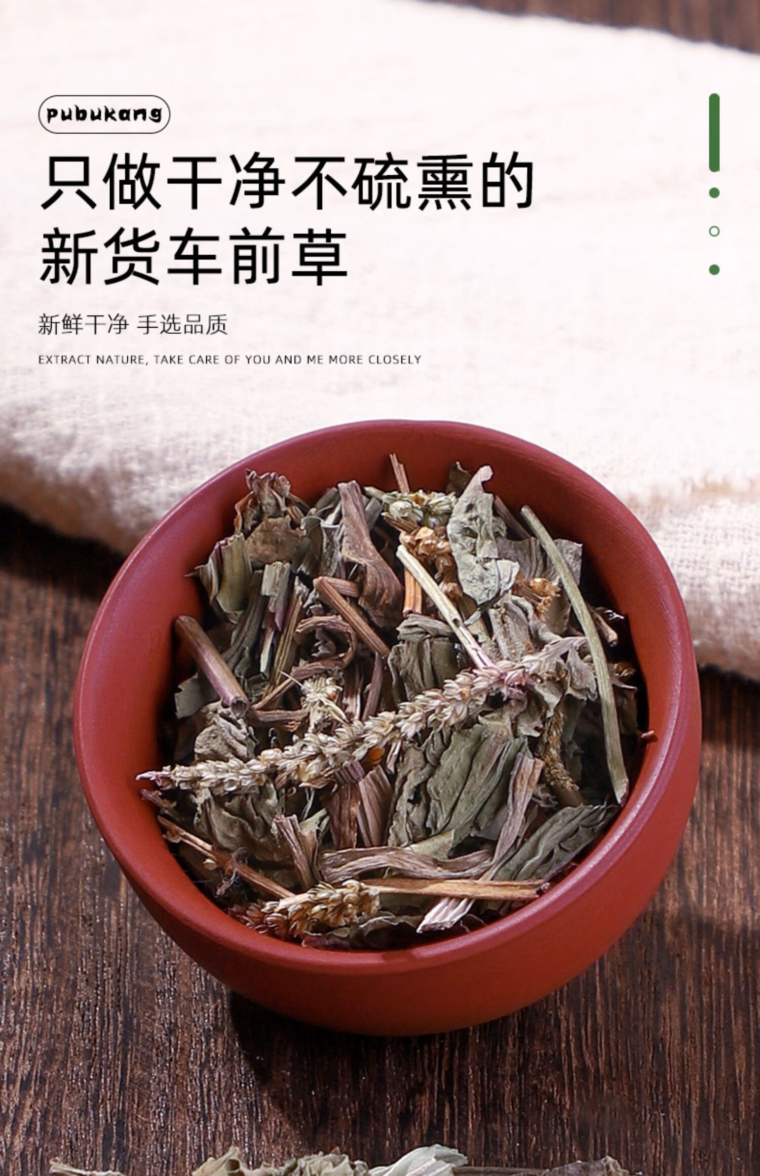 同仁堂车前草中草药500g袋泡茶干货新鲜中药干泡水中药材非野生特级