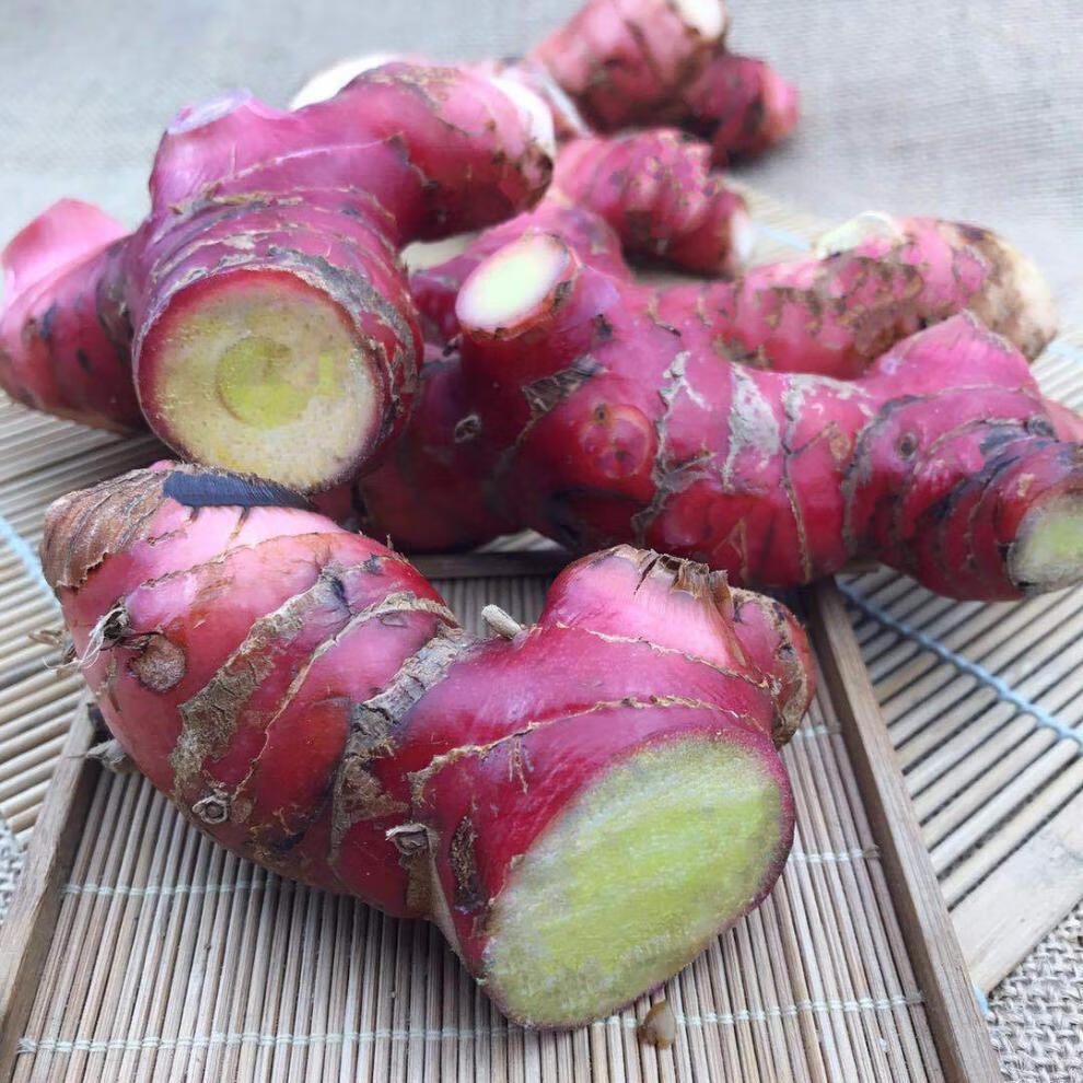 正宗野生南姜山姜高良姜芦苇姜冬阴功汤卤水汤材料15