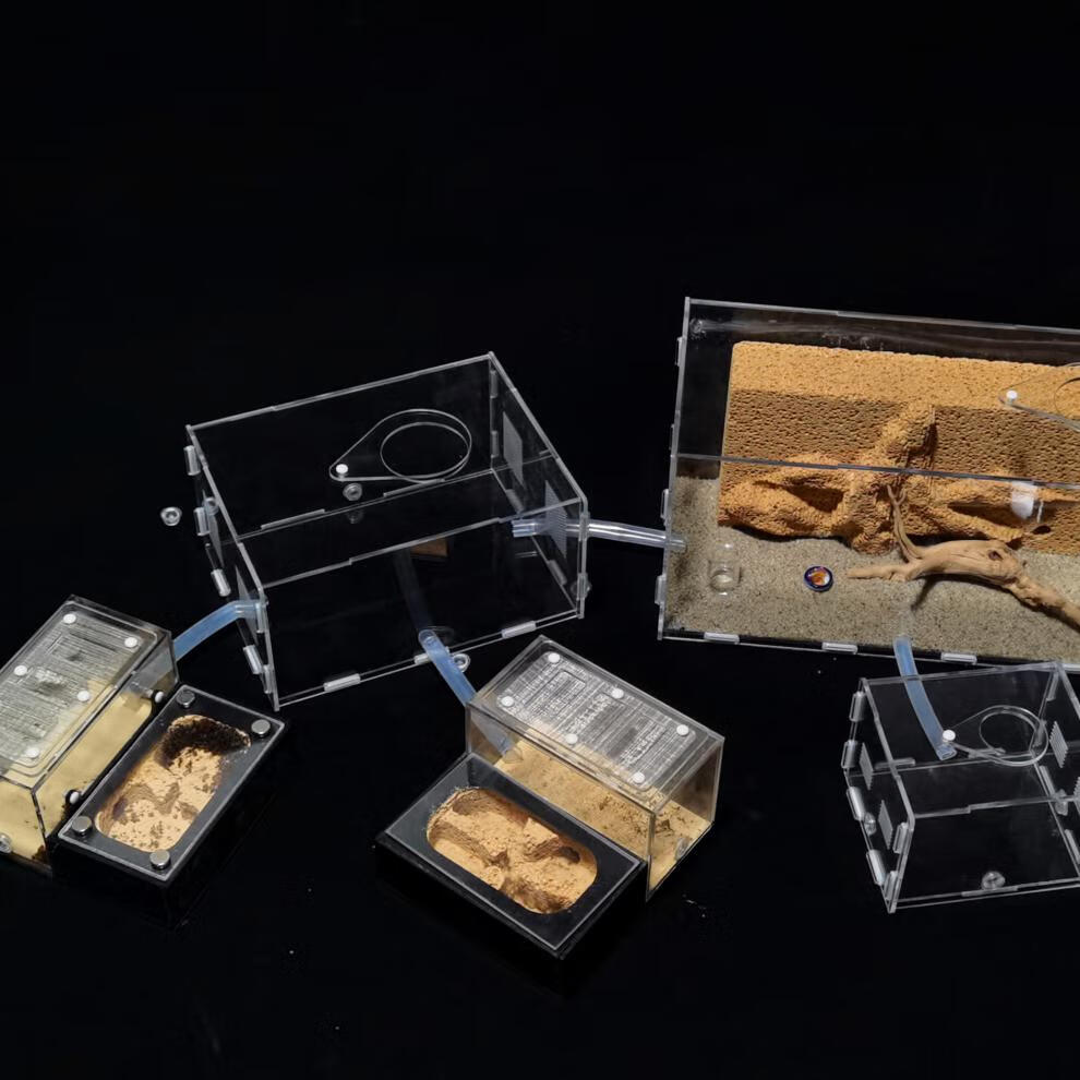 蚂蚁城堡宠物蚂蚁生态箱五代天然吸水石蚁巢手工蚁村部落蚂蚁工坊