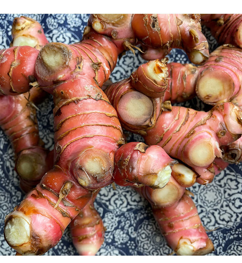 南姜潮汕新鲜精选野生山姜牛羊肉火锅卤味去膻提味调