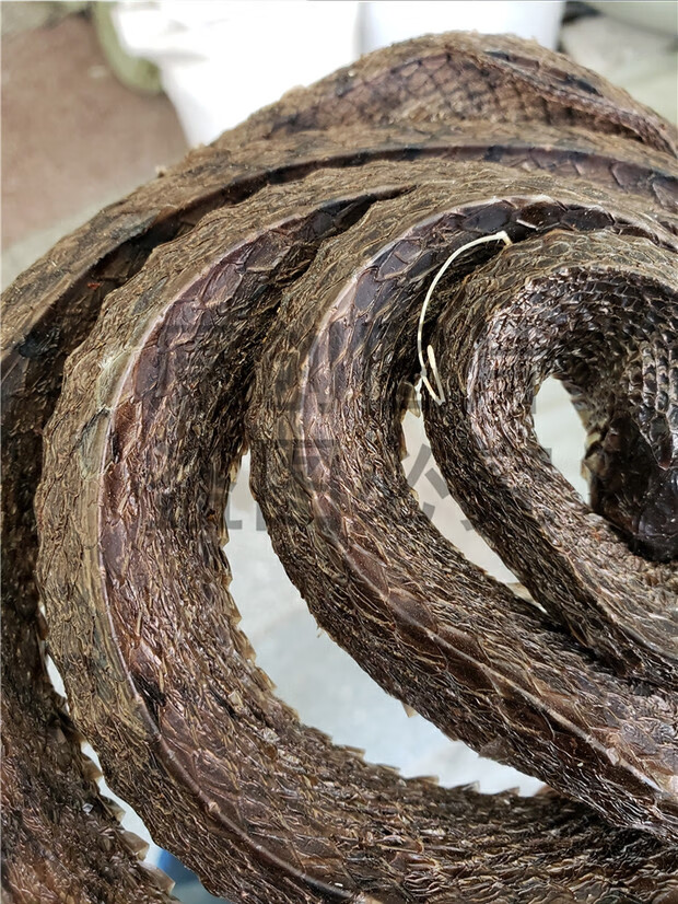 精选整条乌梢蛇500克乌蛇乌蛇干乌梢蛇干另有全蝎蜈蚣自家养殖乌蛇500